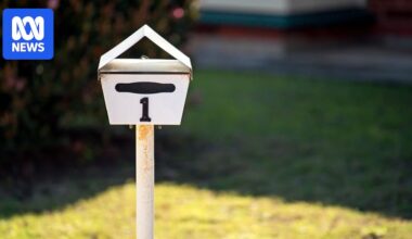 Barking dogs, overhanging trees, shared fences — how to resolve issues with your neighbour