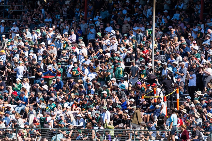 A large crowd in a sports stand.