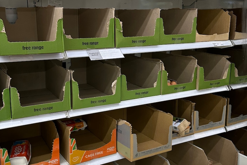 A shelf of display cartons has been completely emptied.