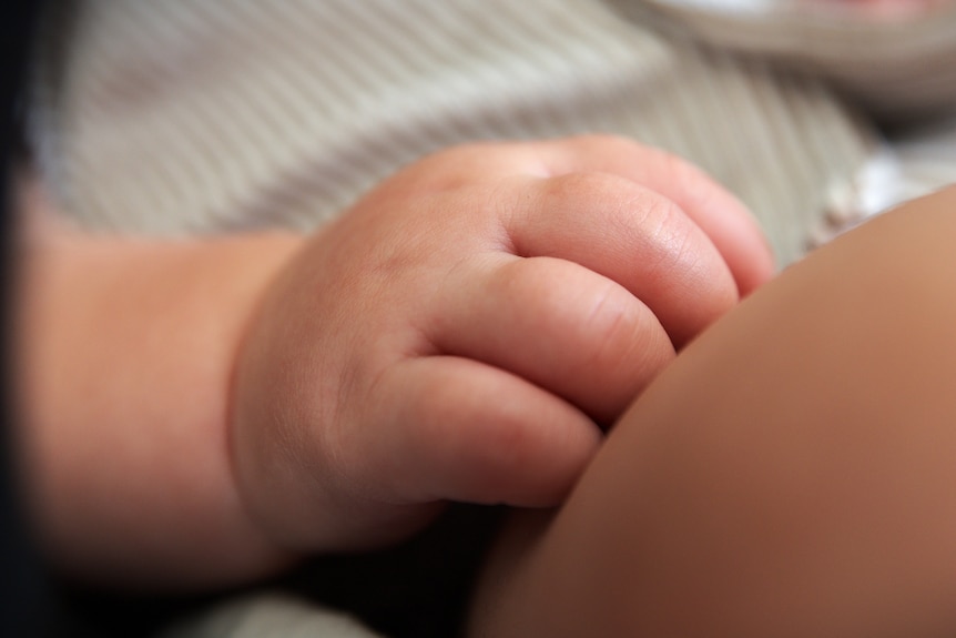 A close up of a cute baby hand
