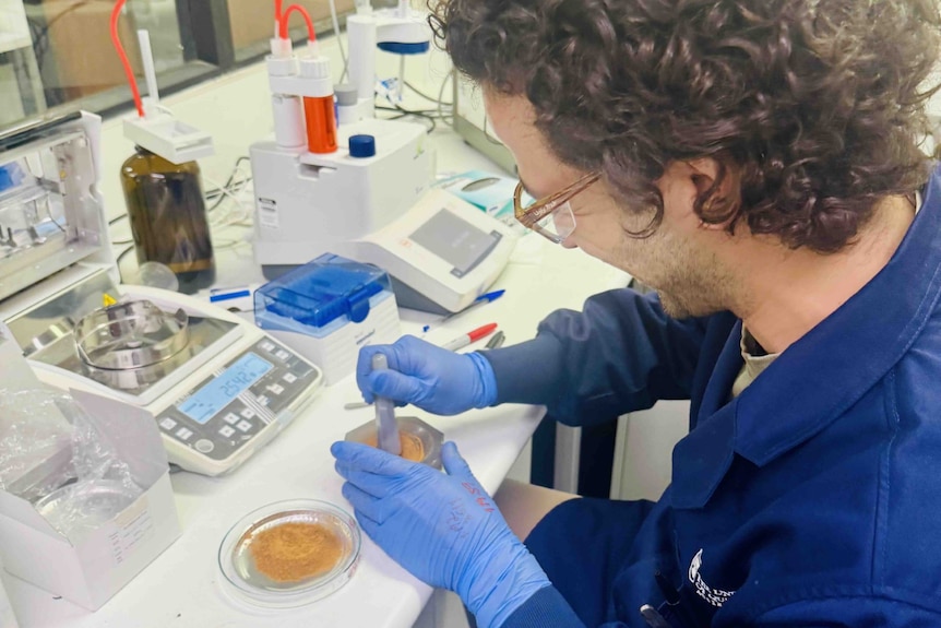 Researcher processing copper concentrate in a laboratory. 