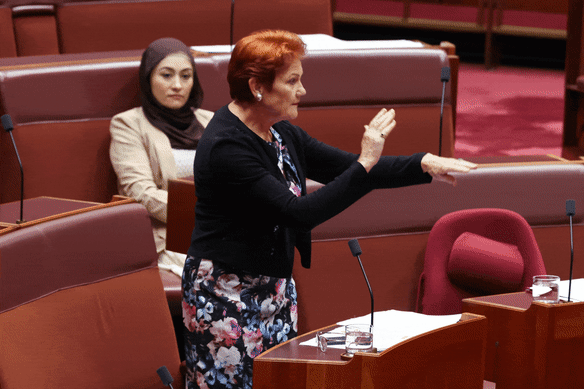 Hanson slapped herself on the wrist and stormed out of the chamber before the Senate censured her.