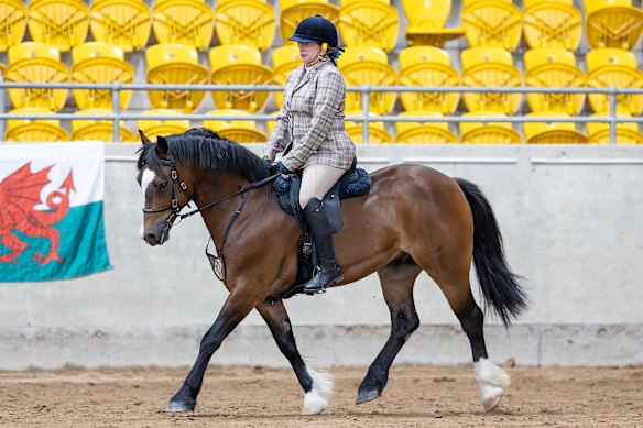 Becky Thompson rides horses as part of her recovery from a brain injury.