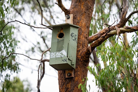 A nest box in Darebin Parklands.