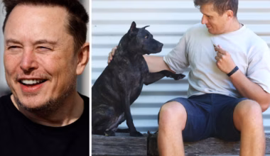 Subscribe to The Australian | Newspaper home delivery, website, iPad, iPhone & Android apps