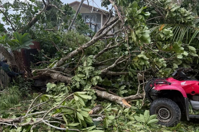 Jayson Watkin and Katie Goodwin had trees down at their business. 