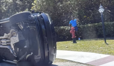 Tiger Woods arrested after crash; Donald Trump feels badly