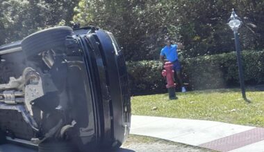 Tiger Woods arrested after crash; Donald Trump feels badly