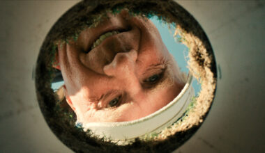 Meet the Hawk, the Star of Will Ferrell's New Golf Comedy Series