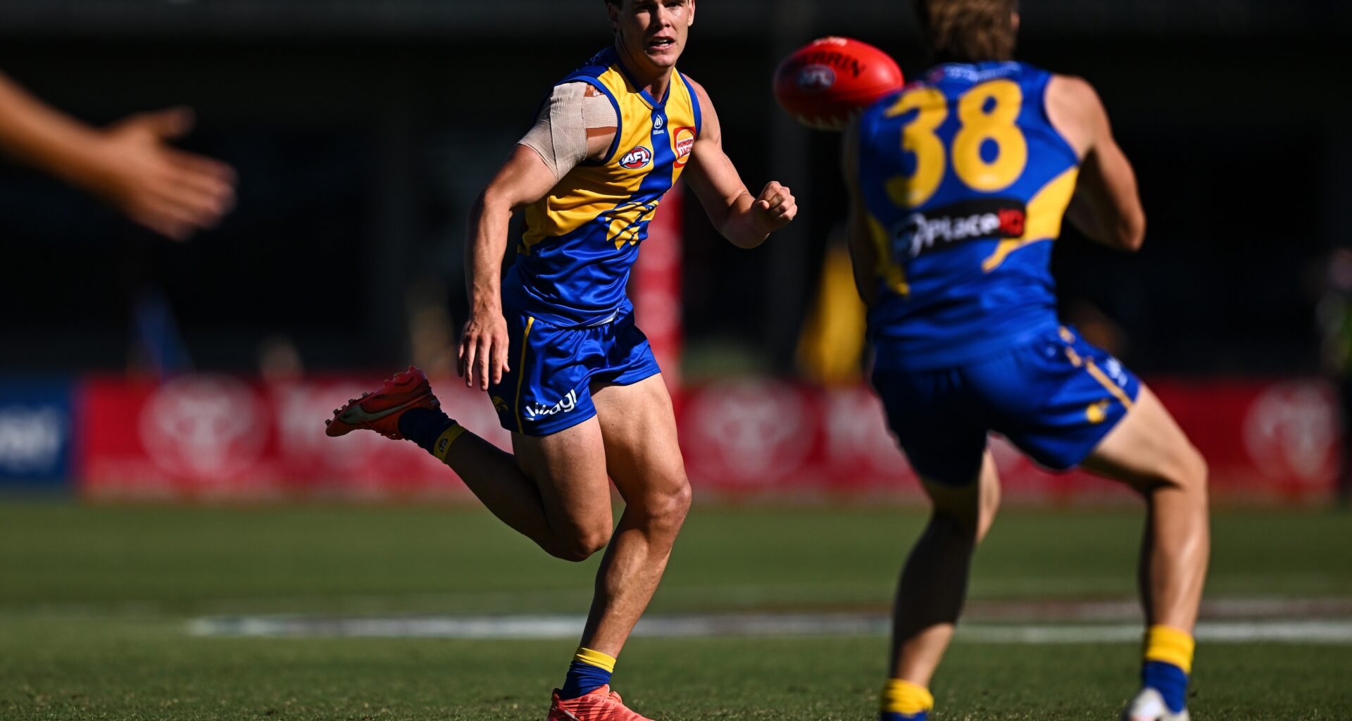 Eagle banned, Butters' bill reaches new heights