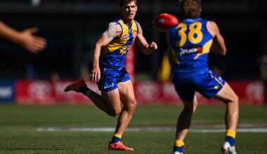 Eagle banned, Butters' bill reaches new heights