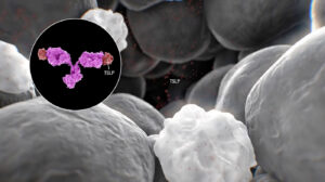 GB-0895 anti-TSLP antibody 