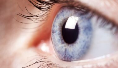 Science Corp. raises $230 million as it awaits FDA decision