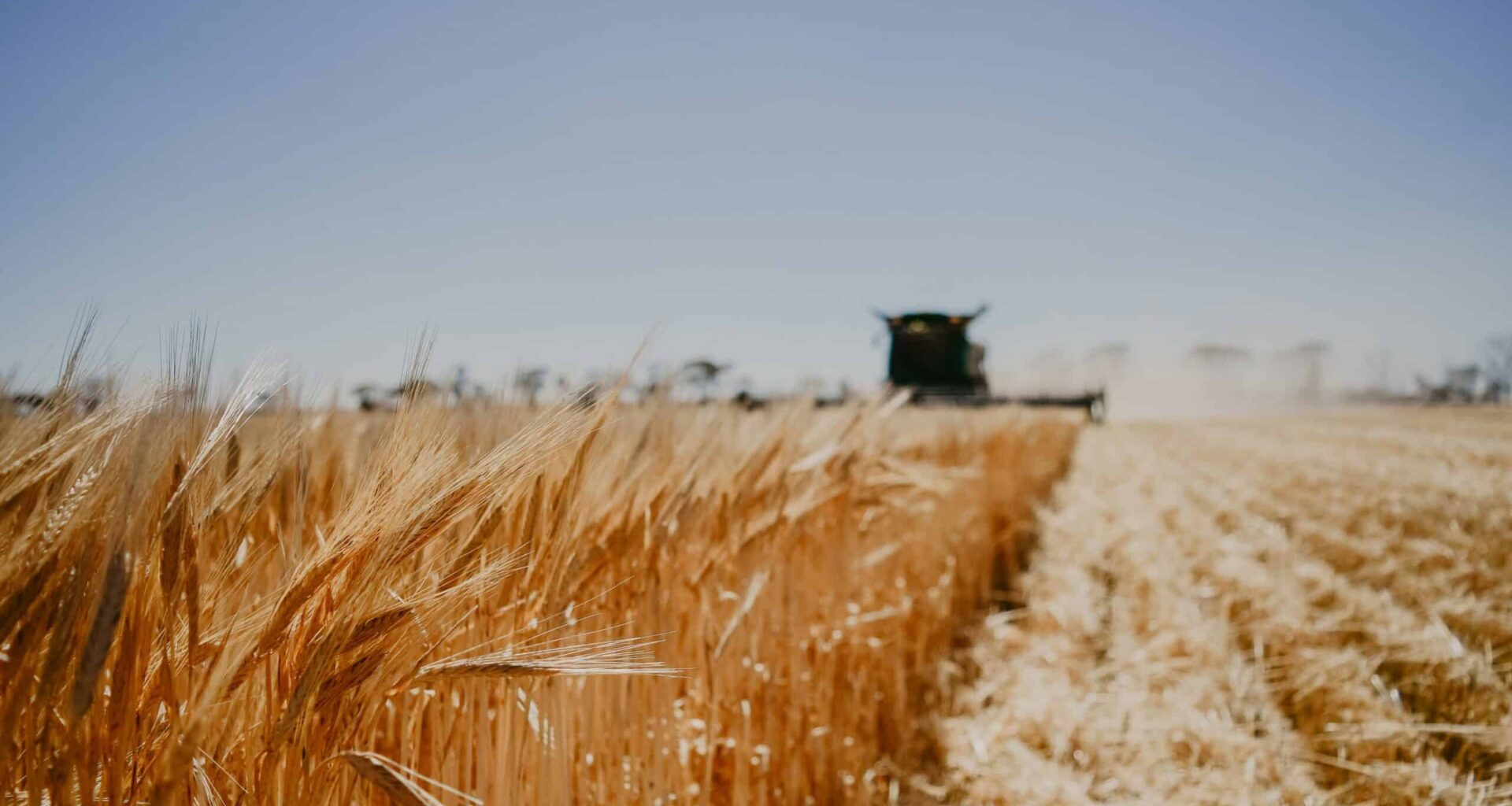 Opinion Editorial: A bad EU-Australia trade deal couldn’t come at a worse time for farmers