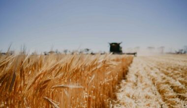 Opinion Editorial: A bad EU-Australia trade deal couldn’t come at a worse time for farmers