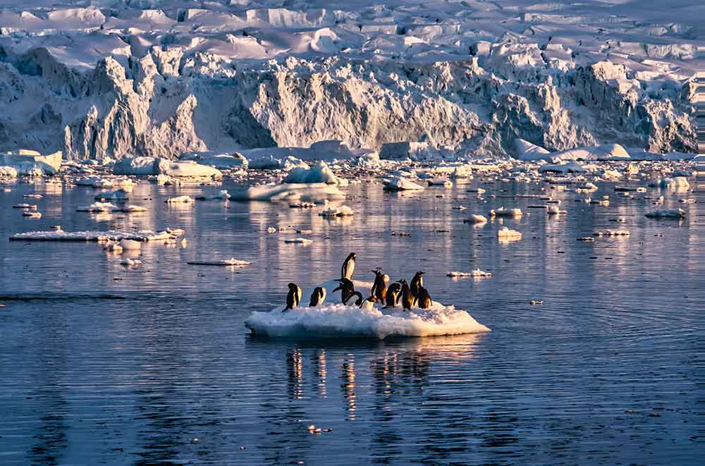Antarctic sea ice improves after four years of extreme lows