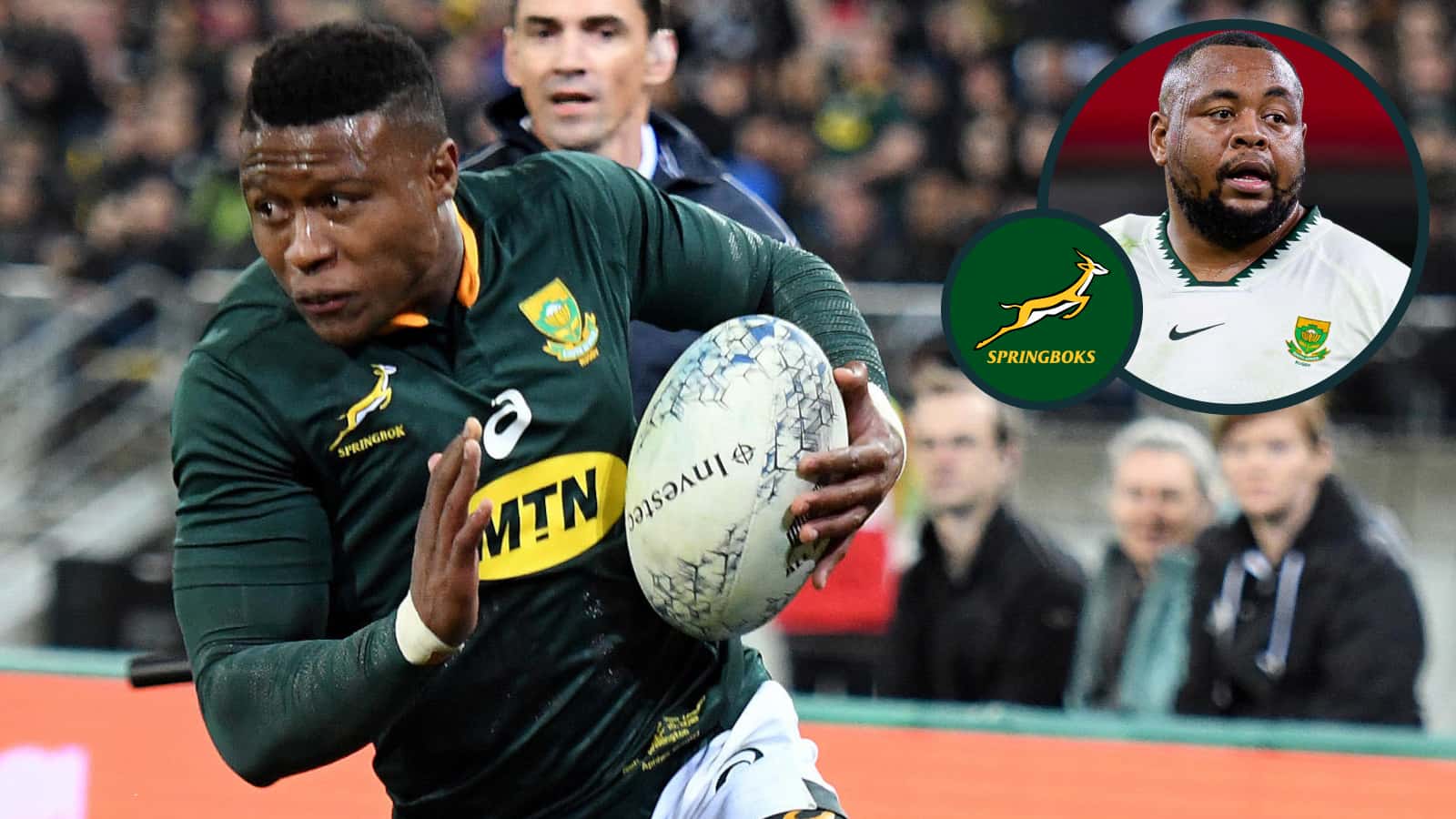 Springboks face doping scrutiny after post-World Cup testing decrease