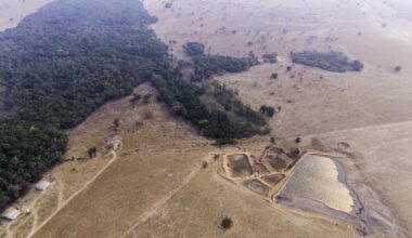 In Brazil, regenerative farming advances, but deforestation still pressures ecosystems