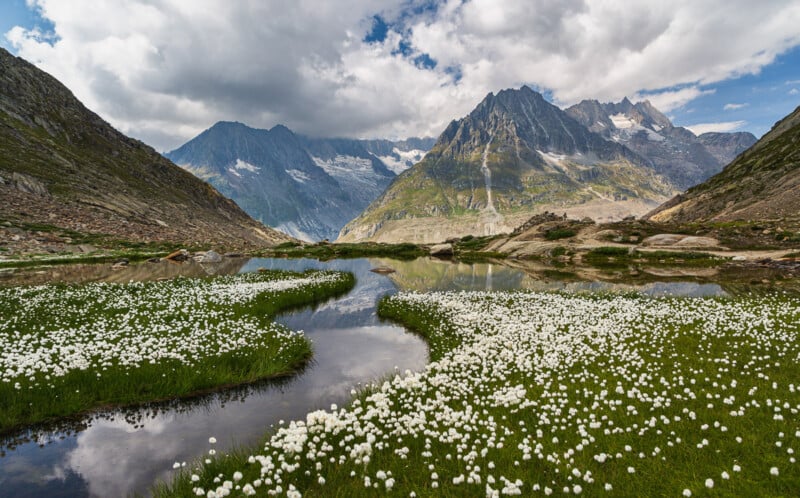 A scenic mountain landscape with snow-capped peaks, a reflective pond, and grassy meadows dotted with clusters of small white flowers under a partly cloudy sky.