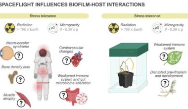 NASA Volunteers Study Biofilm Adaptability In Space