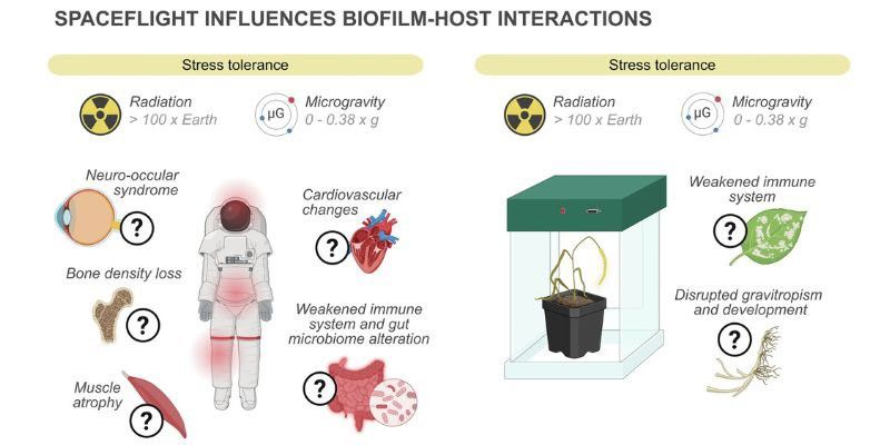 NASA Volunteers Study Biofilm Adaptability In Space