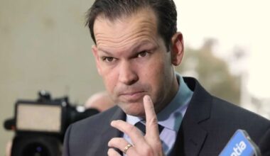 'Hyper-Australia': Nationals leader targets One Nation - News