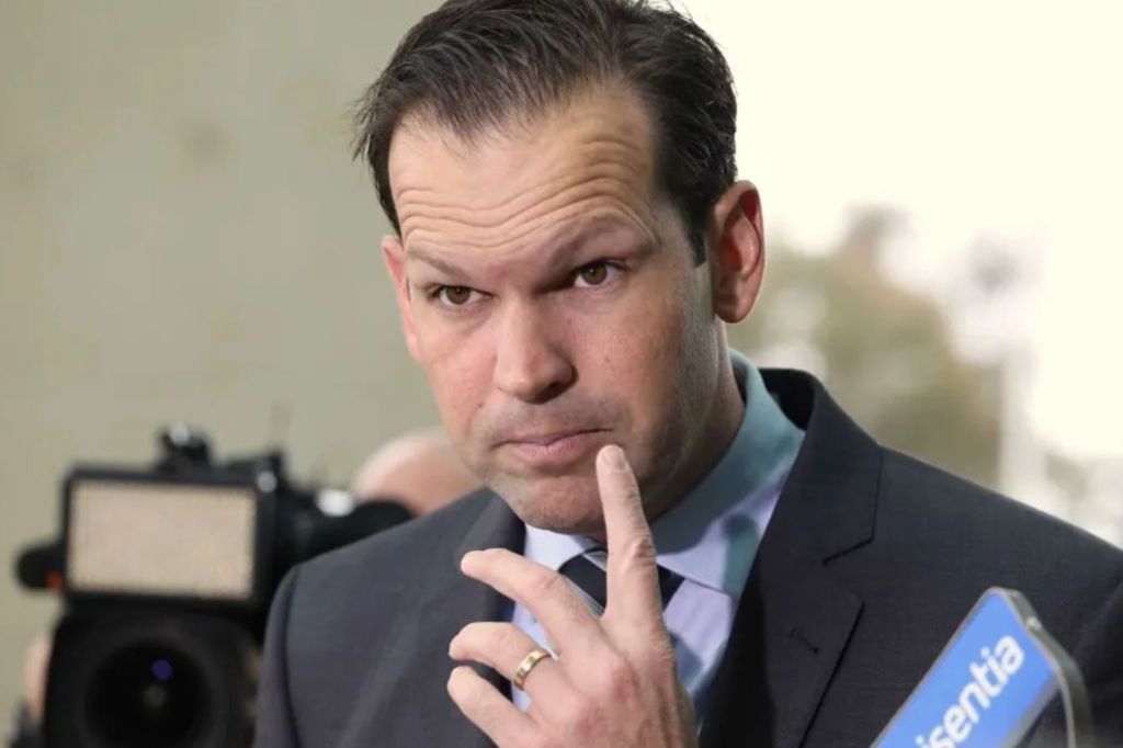 'Hyper-Australia': Nationals leader targets One Nation - News