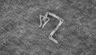 Brighter Side of News