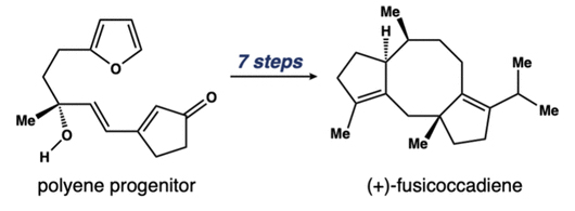 A chemistry diagram showing the creation of fusicoccadiene.