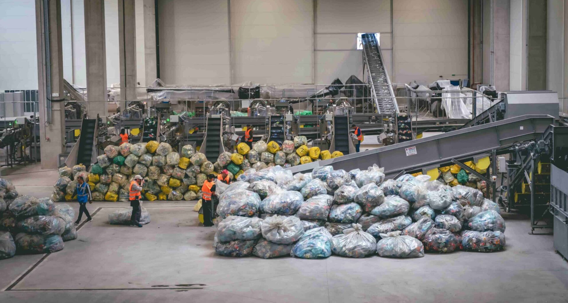 ‘In Romania now, you don’t see a bottle anywhere’