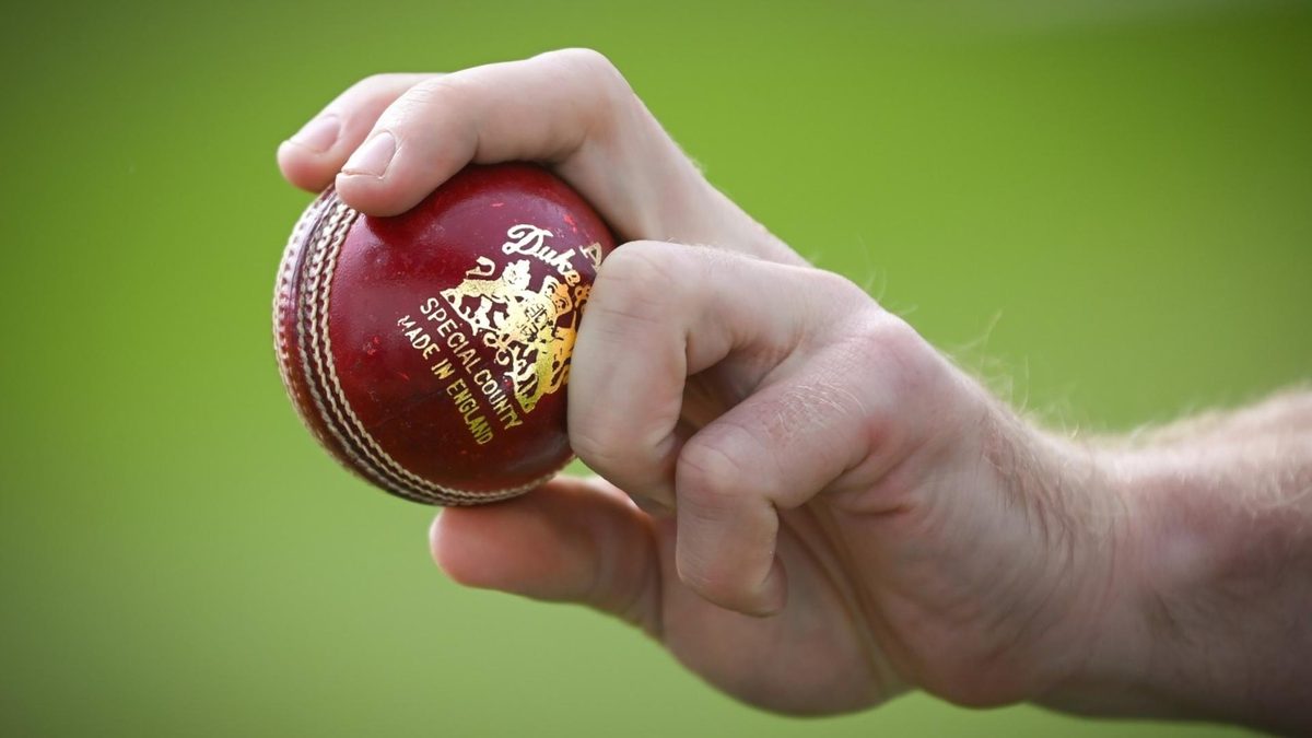 Dukes cricket ball