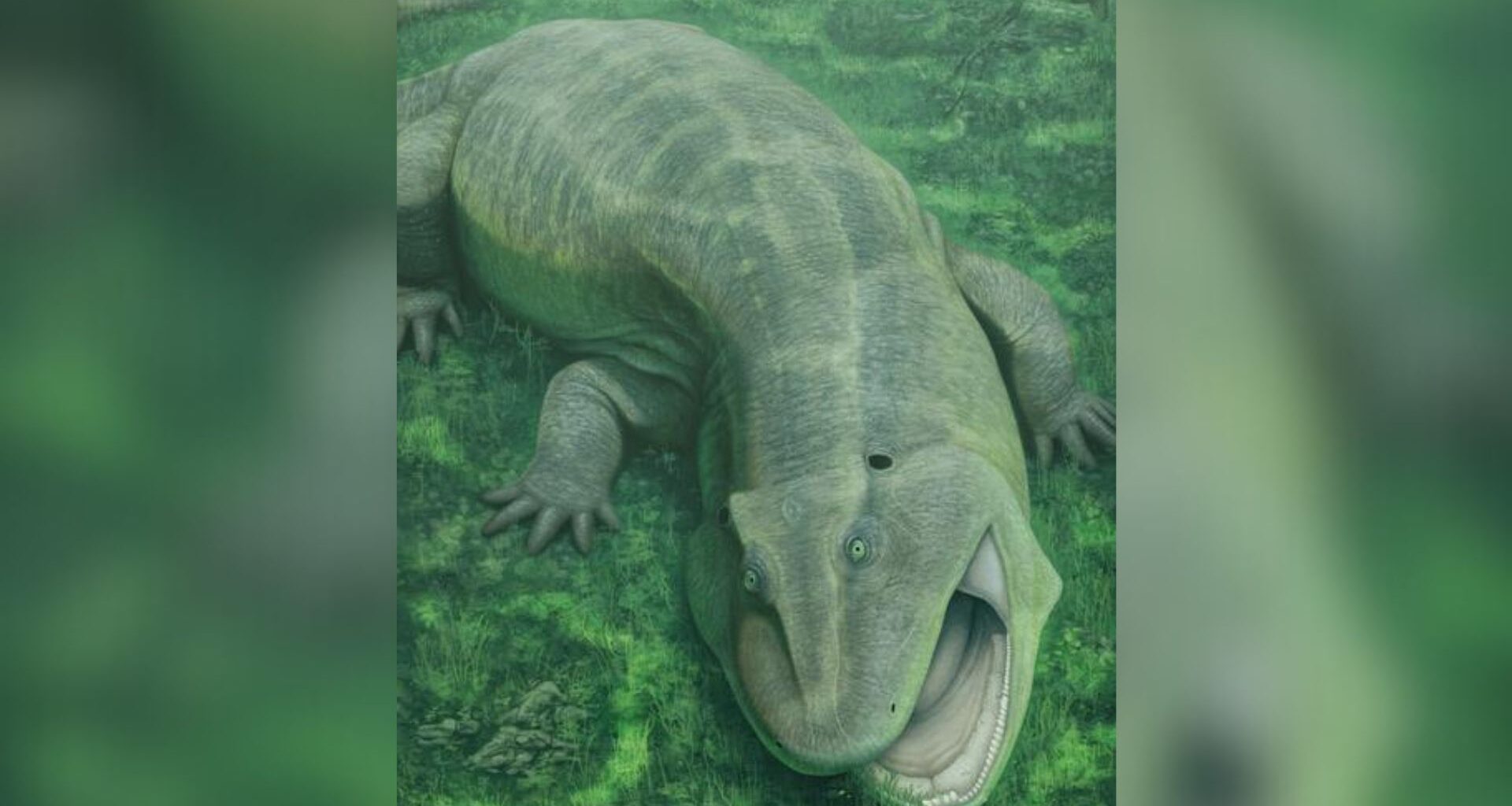 An illustration of a green lizard-like animal with a large open maw, crawling on its stomach against a lush green ground