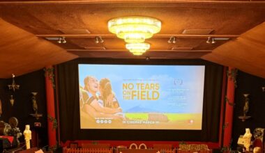 Rugby roller-coaster on film | Te Awamutu News