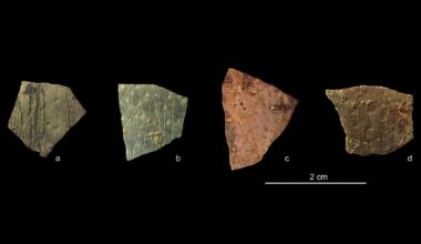 Ancient Fragments Could Be The World's Oldest Known Geometry : ScienceAlert