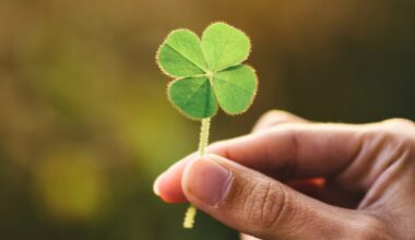 Textbooks Might Be Wrong About Why Plants Are Green : ScienceAlert