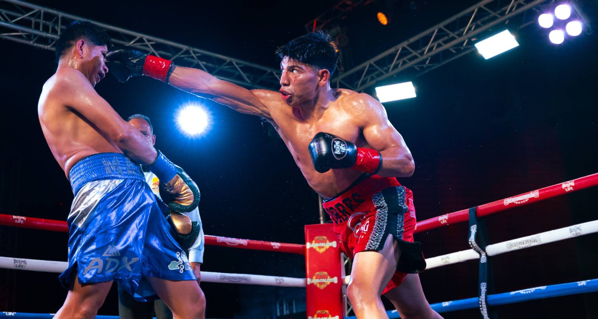 No Boxing No Life delivers an electric fight night at SeaWorld San Diego – The Daily Aztec