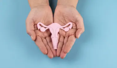 Uterus Immune System Regenerates Post-Transplant