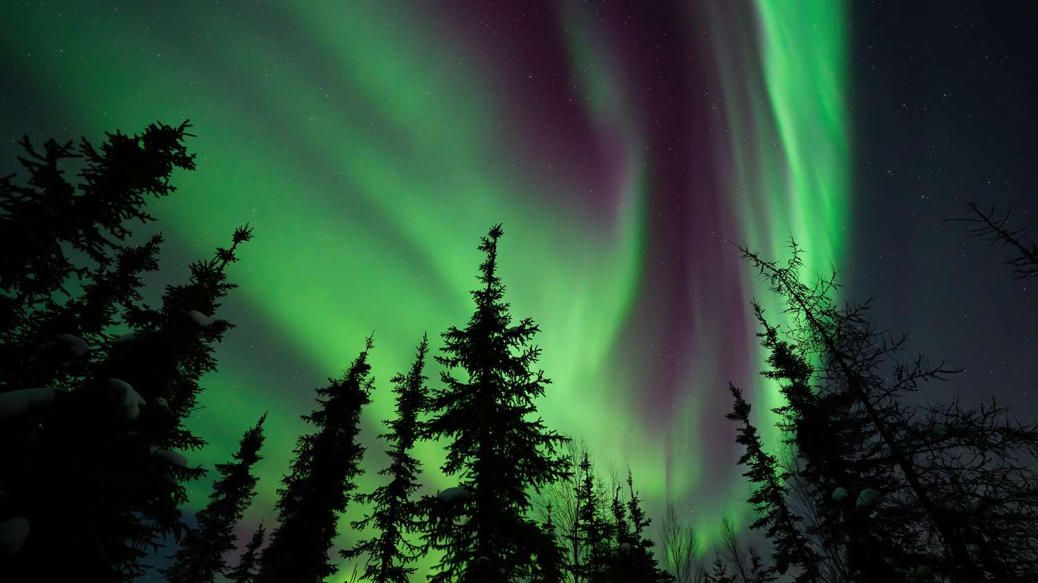 The Northern Lights May Be Visible in 12 States This Weekend
