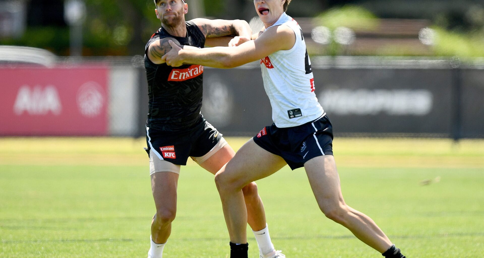 The untried Pie poised for Opening Round debut - AFL News