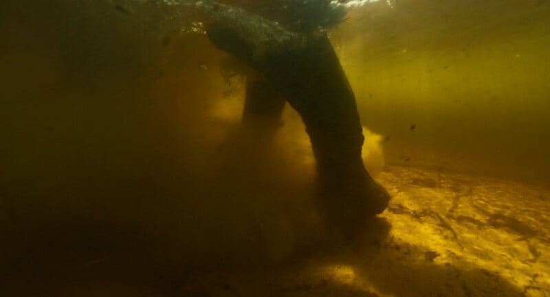 Underwater view of an elephant's legs stirring up mud and sand on the riverbed, with sunlight filtering through the murky yellow water.