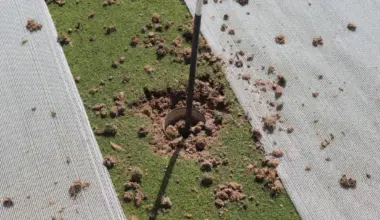 The North Central Review