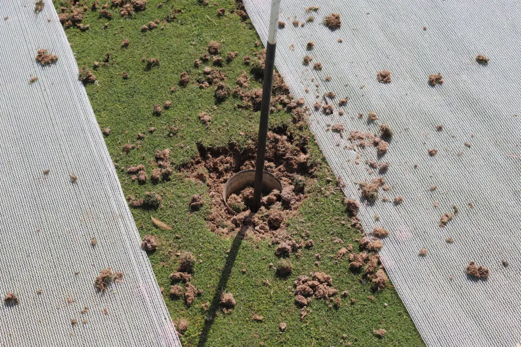 The North Central Review