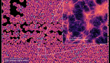 Brighter Side of News