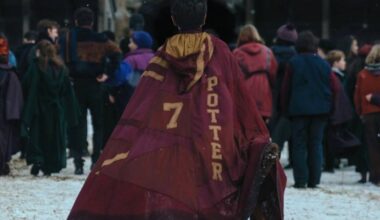 Harry Plays Quidditch at Hogwarts