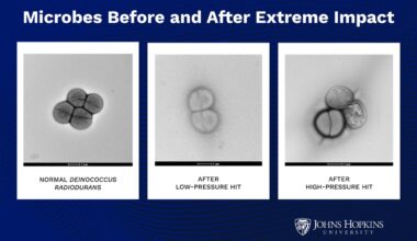 Life Aboard An Asteroid Can Survive Crash-Landing On Another Planet, New Study Suggests