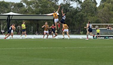 VFL Report | Dees Turn Up the Heat Against Box Hill
