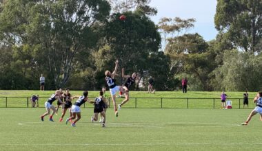 VFL Report | Dees dominate in final practice match