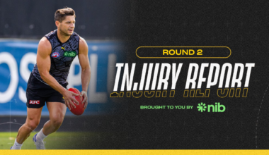 Two veteran Tigers cleared for return