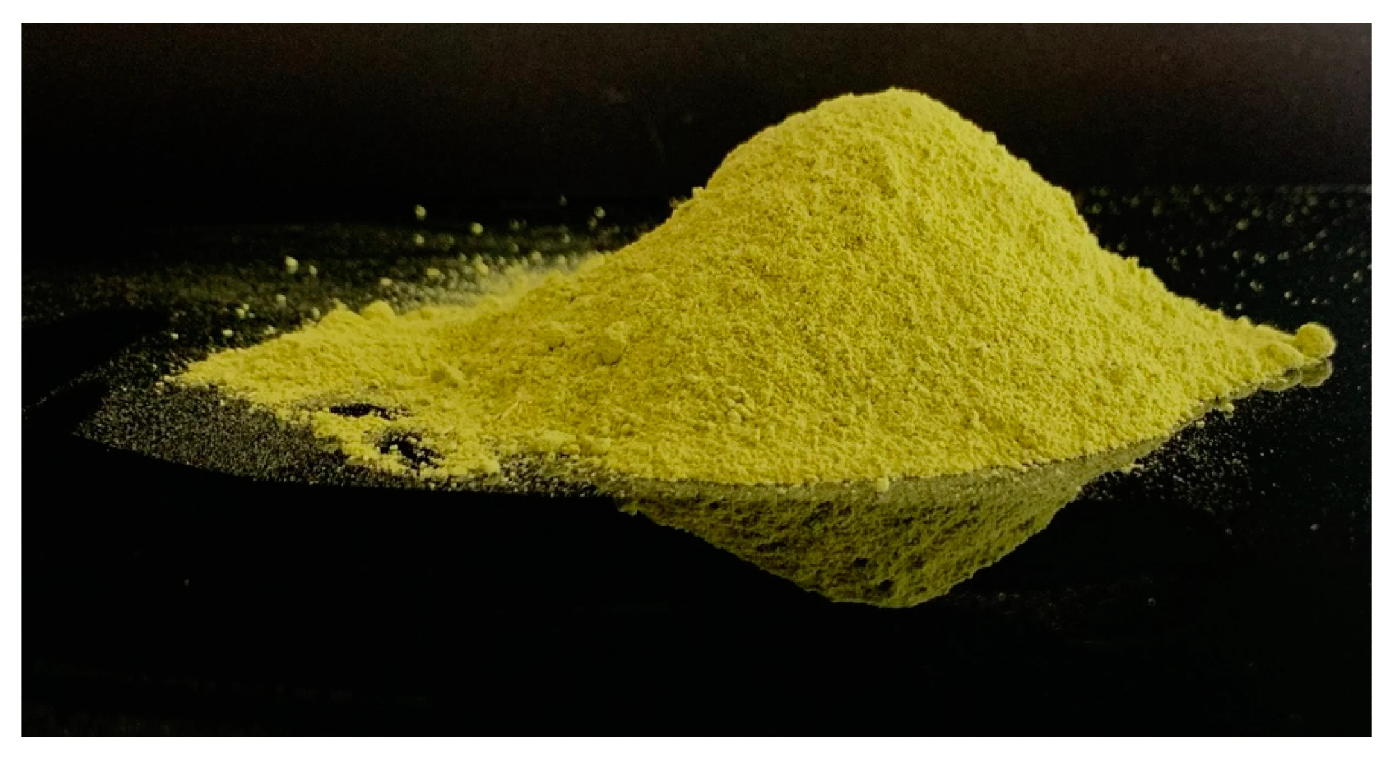 Dried powder of Sarcocornia perennis.