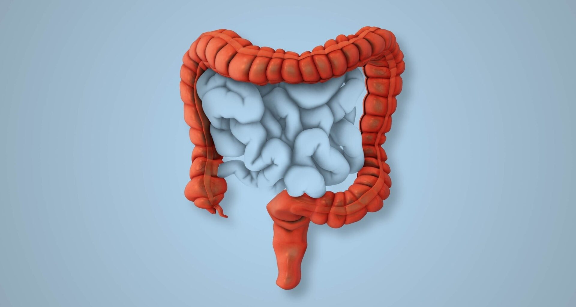Review: Nutritional Management of Irritable Bowel Syndrome. Image Credit: Silver Place / Shutterstock